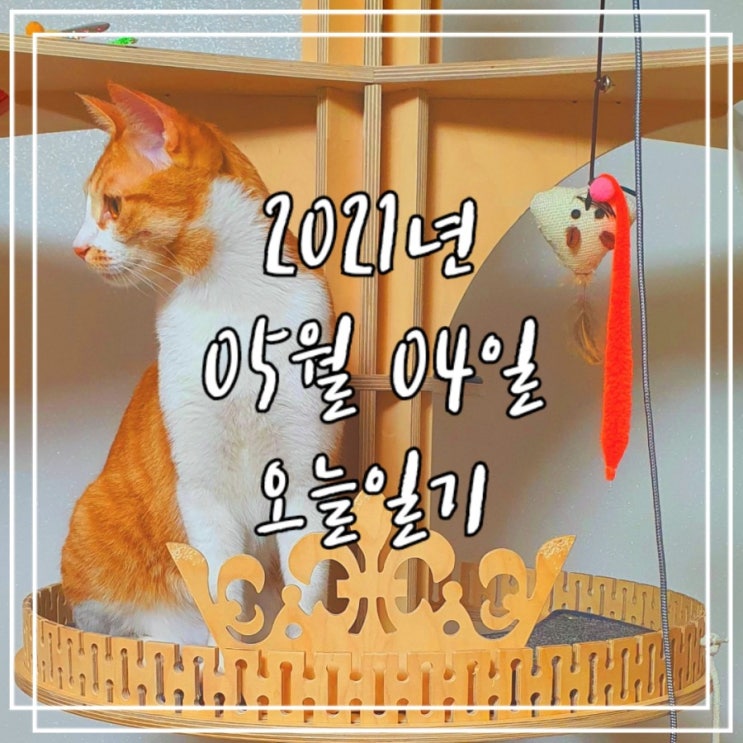  2021년 5월 4일