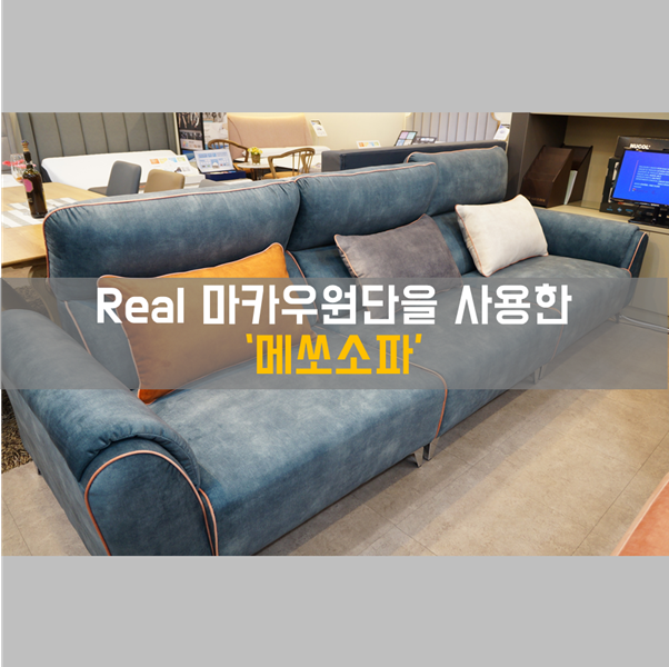  진짜 포르투갈 엘라스트론 마카우원단 소파 '메쏘소파' 직접 체험한 후기!