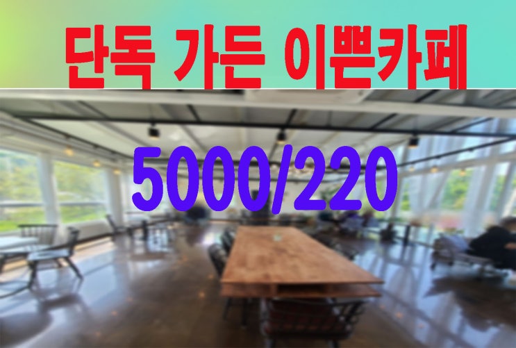  고양파주 엄청 이쁜카페 단독가든임대 메인상권 강력추천!!! 놓치지마세요~ 저렴한 월세 5000/220