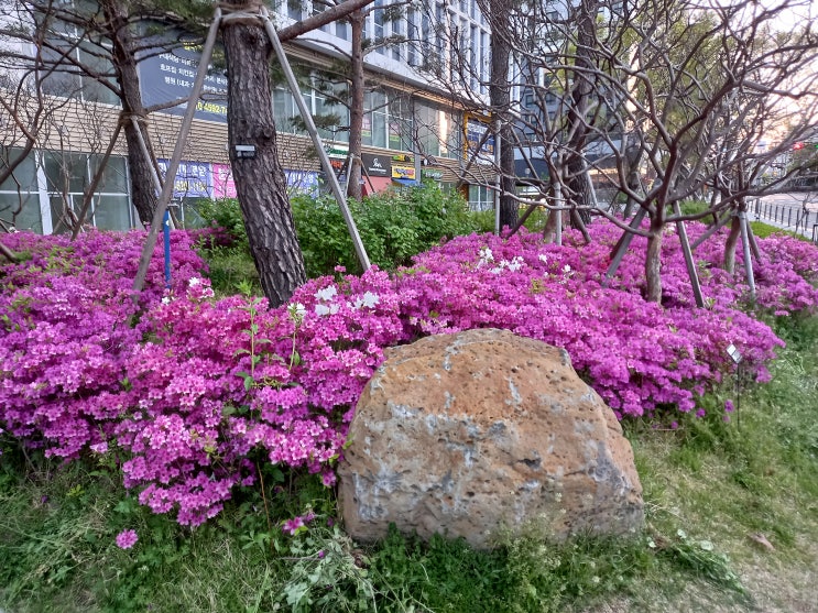마음이 머무는 곳 마음이 머무는 곳