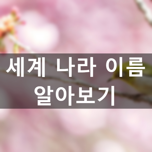  세계 나라 이름 알아보아요.