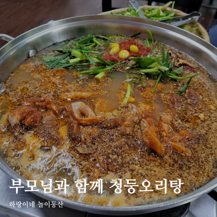 광주근교 오리탕 맛집 담양 유진정, 부모님과 함께 먹은 청둥오리 전골