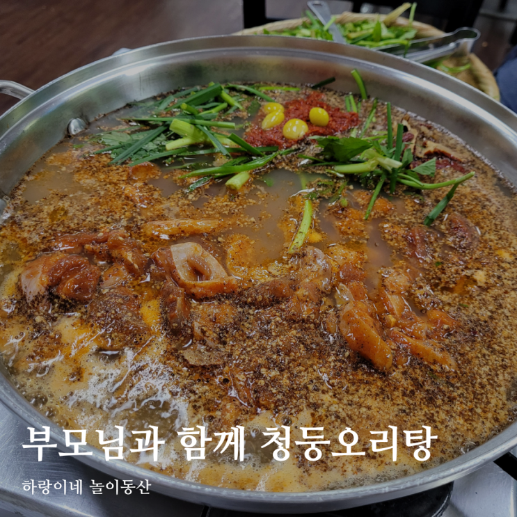 광주근교 오리탕 맛집 담양 유진정, 부모님과 함께 먹은 청둥오리 전골