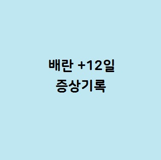  배란 +12일 / 생리예정일 이틀전 단호박
