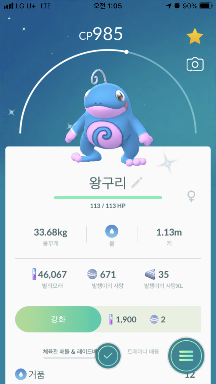  발챙이, 슈륙챙이, 왕구리 이로치