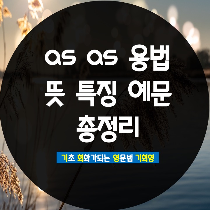  as as 용법 비교급 특징 예문 쉽게 총정리 - 기회영