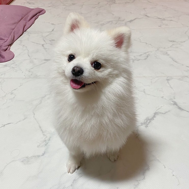  210504 바쁜 하루끝