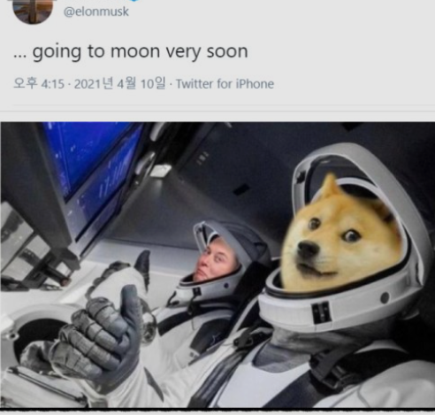 도지코인(DOGE)!! 날아라!! 투자의향기 가상화폐(코인) 투자 현황_업비트, 코인원 도지코인(DOGE)!! 날아라!! 투자의향기 가상화폐(코인) 투자 현황_업비트, 코인원