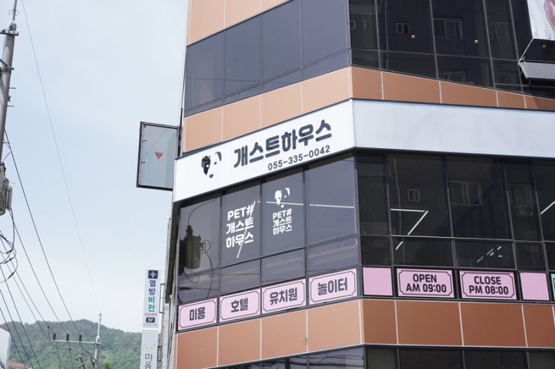 사진 6