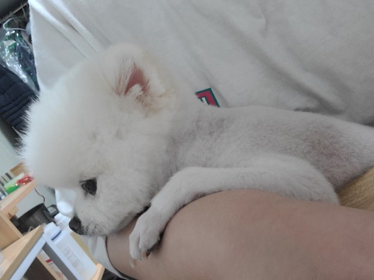  김산타 근황