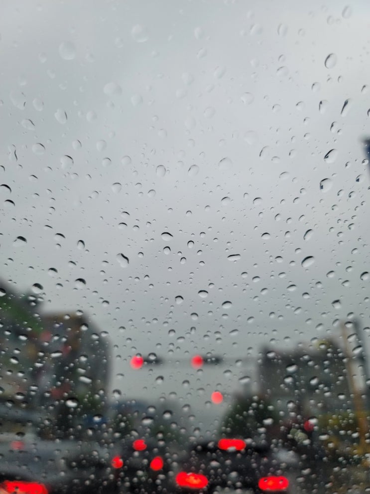  오늘일기) 비 오늘 날