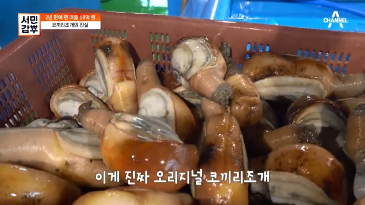 서민갑부 해산물, 해신탕 - 다이버수산 서민갑부 해산물, 해신탕 - 다이버수산