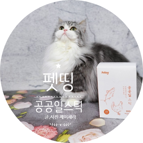  고양이 건강은 저염에서 시작/ 기호성 좋은 국내 최저염 츄르 펫띵 공공일 스틱을 소개합니다 ( 고양이 간식 추천 )