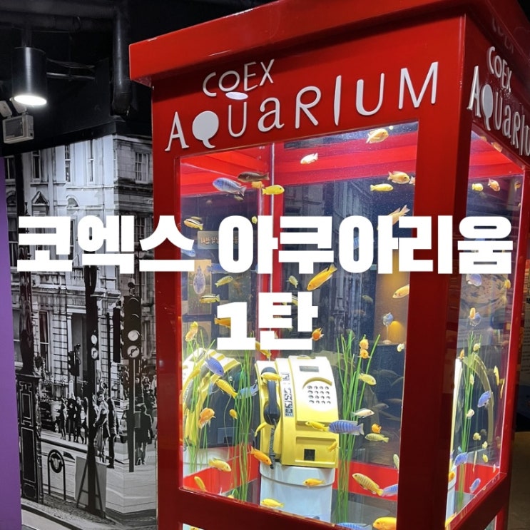  코엑스 아쿠아리움 완벽 분석! 1탄 아쿠아리움하면 역시 COEX 어린이날 추천 코스