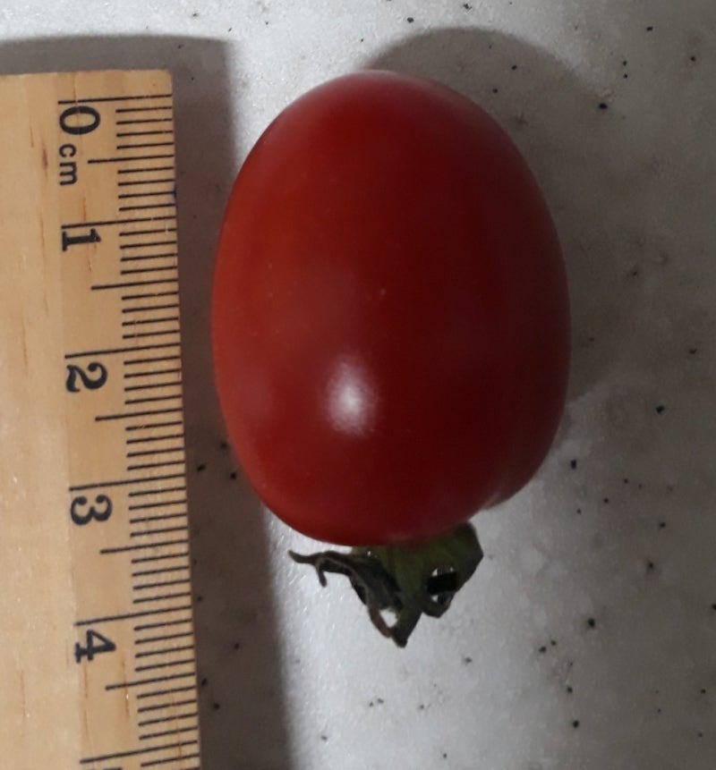 방울토마토 대추토마토 1개 무게와 칼로리 알아보기 : 네이버 블로그 방울토마토 대추토마토 1개 무게와 칼로리 알아보기 : 네이버 블로그