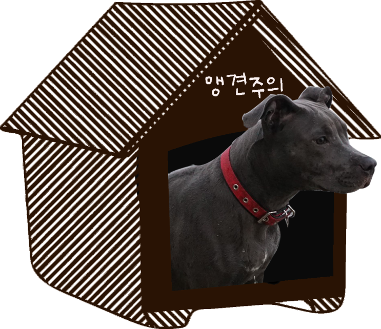  순한강아지를 찾으시나요?
