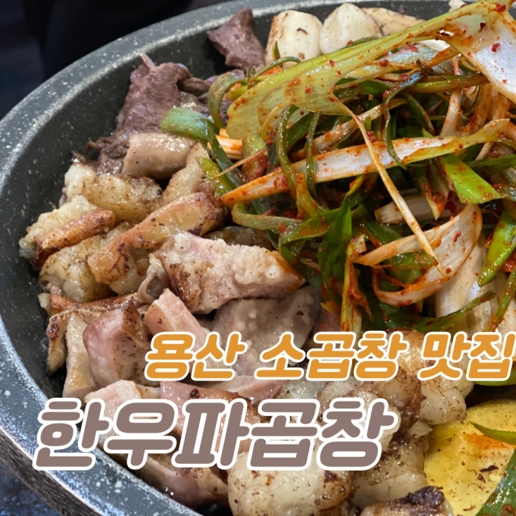  용산 소곱창 맛집 :: 한우파곱창 (추천)
