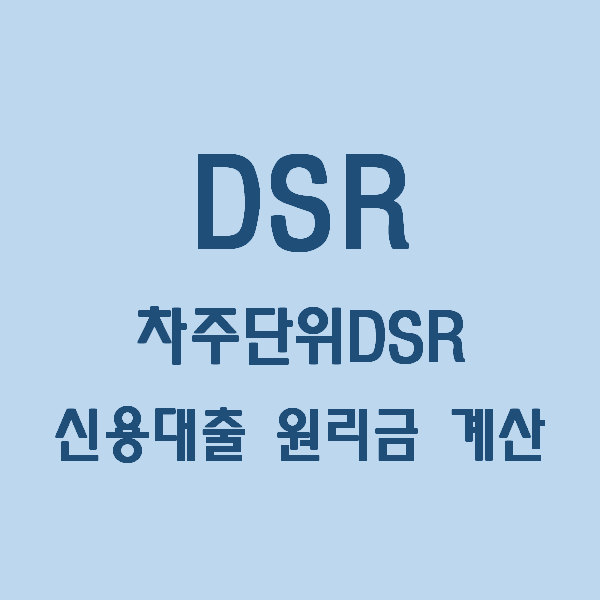 부동산) DSR과 차주단위DSR, 신용대출 원리금 계산