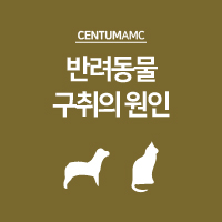  반려동물 구취의 원인