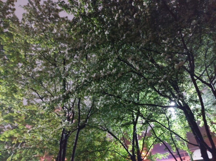  오늘일기
