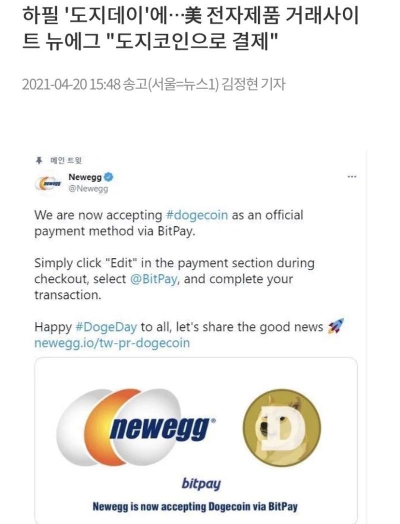 도지코인 전망 도지코인 미래 도지코인 투자해야 하는 이유는??? : 네이버 블로그