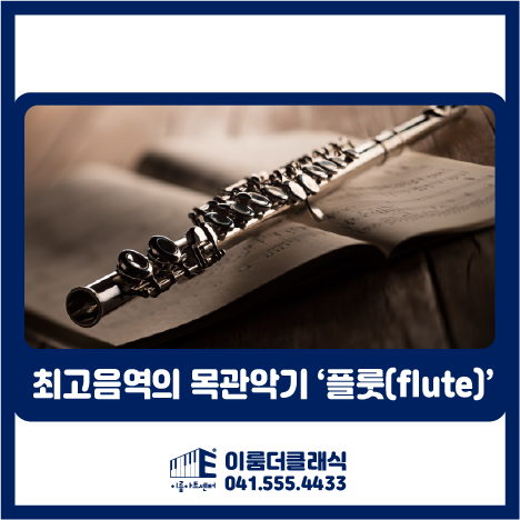 [천안]플룻 전문레슨 - 최고음역의 목관악기 '플룻'