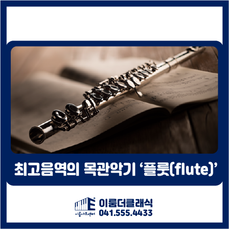  [천안]플룻 전문레슨 - 최고음역의 목관악기 '플룻'