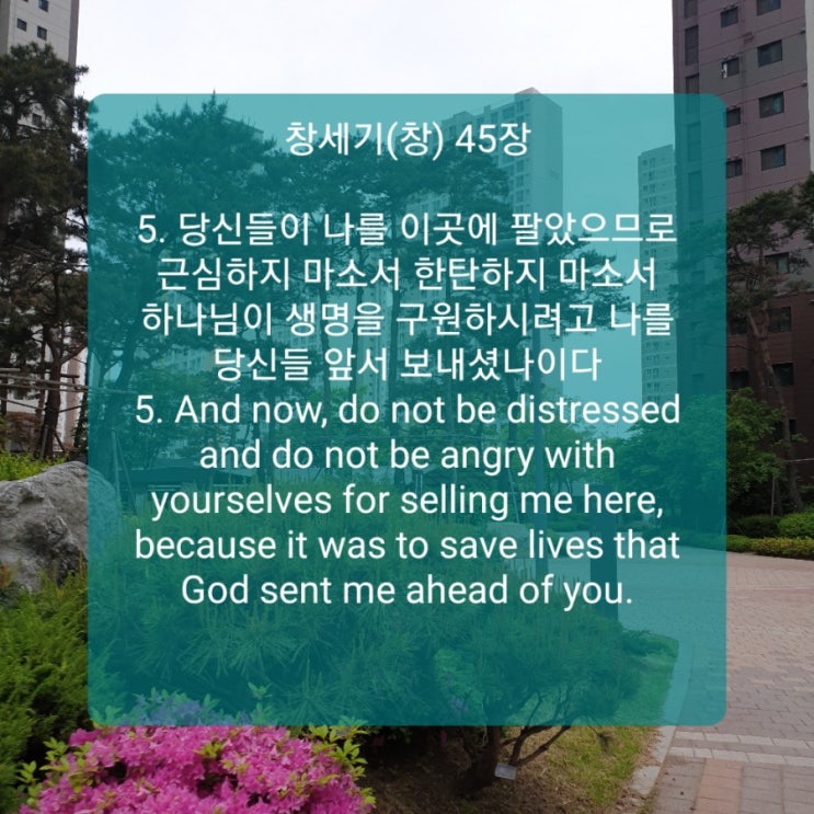  앞서 보내셨나이다.