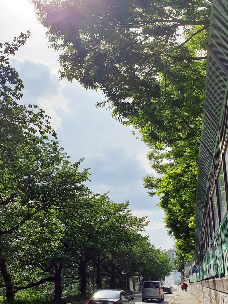 사진 2