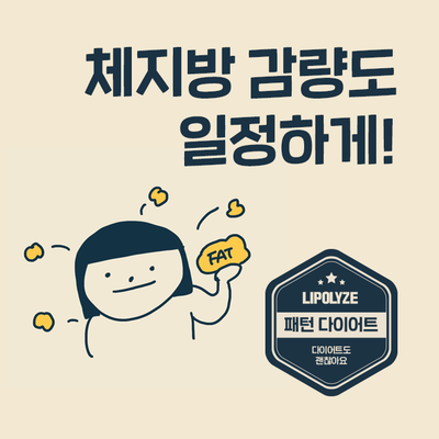 마포 한방 다이어트. 체지방이 일정하게 빠지는 다이어트. 마포 한방 다이어트. 체지방이 일정하게 빠지는 다이어트.