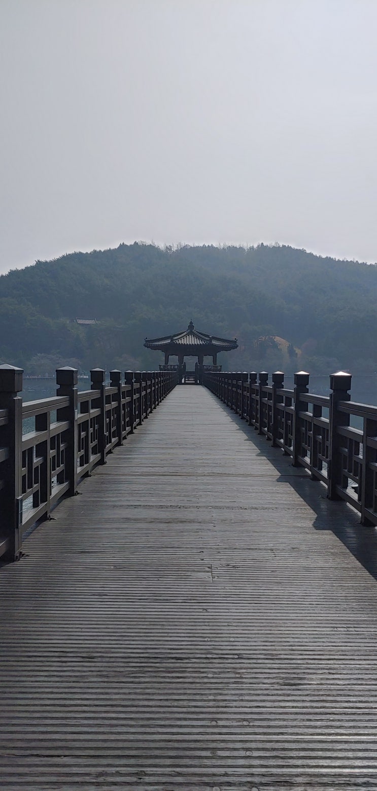  안동 가볼만한곳 7월국내여행추천합니다 월영교(안동)
