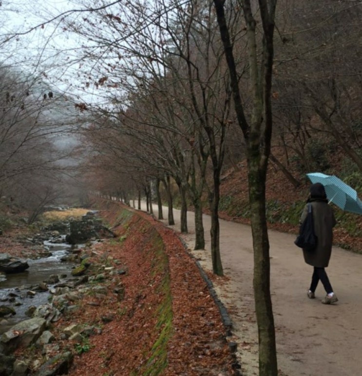 사진첩 오늘일기 사진첩 오늘일기