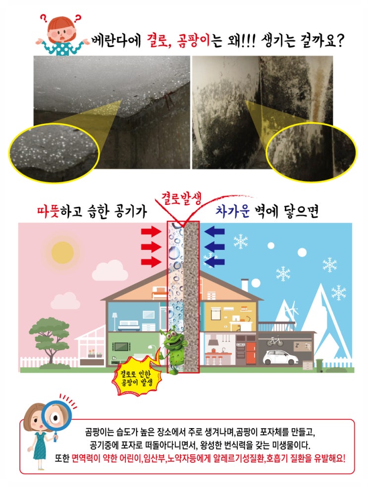  탄성코트 - 월드클래스