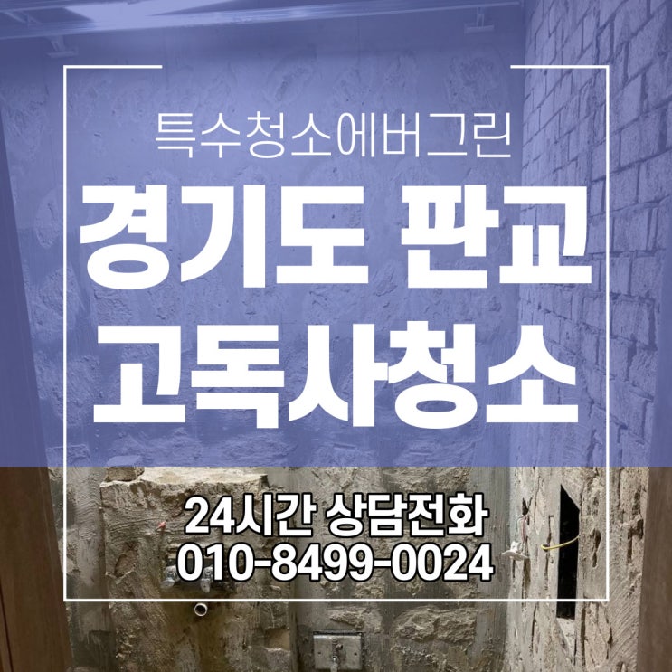 경기도 판교 특수청소 - 32평 아파트 고독사 특수청소
