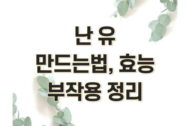  난유 만드는법, 효능, 부작용, 먹는법 정리 (국산, 계란노른자유,캡슐)