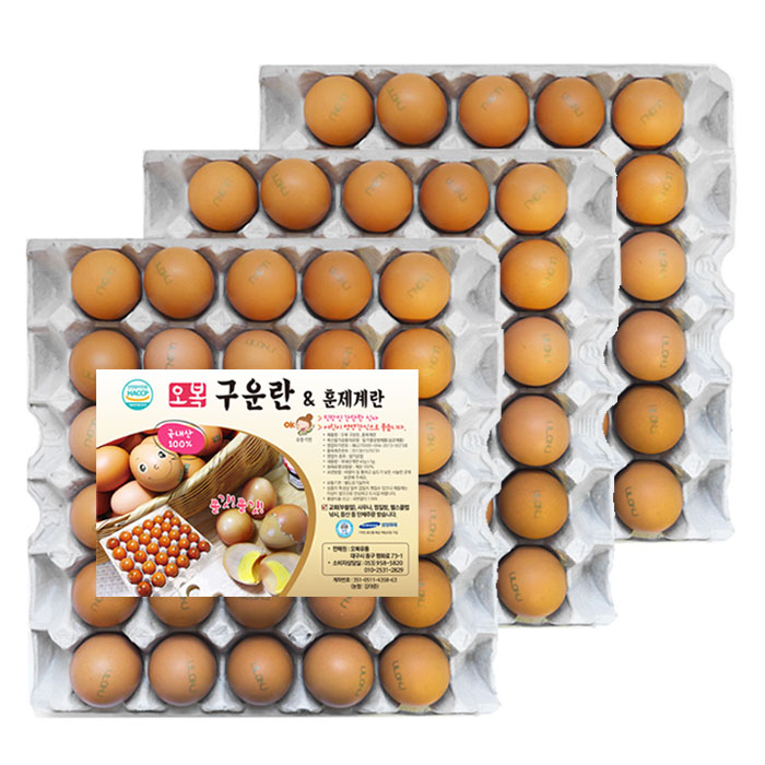 핵가성비 좋은 오복유통 HACCP인증 구운계란 30구 60구 90구, 3판 ··· 핵가성비 좋은 오복유통 HACCP인증 구운계란 30구 60구 90구, 3판 ···