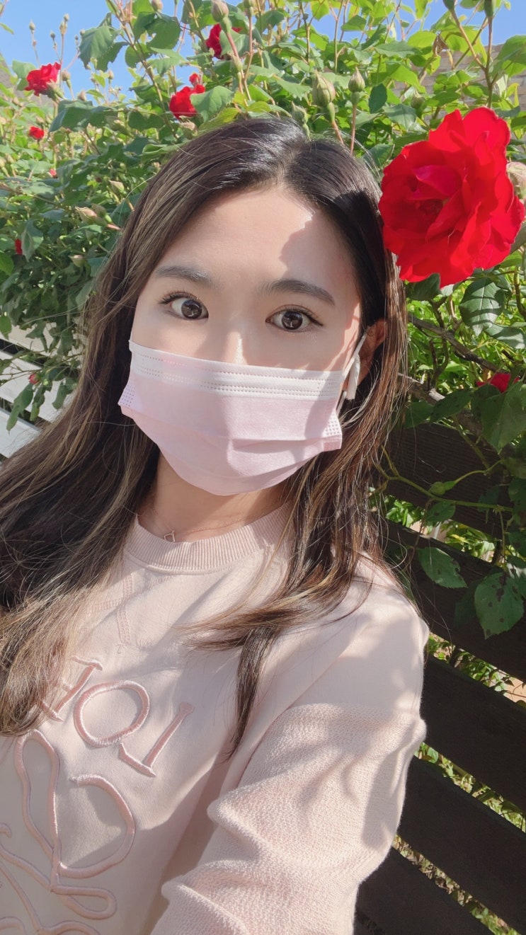  오월의 다섯 번째 일기