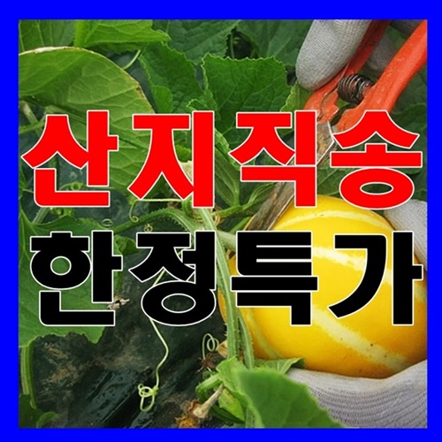 인기있는 [총알배송] 따자마자~산지직송! 아삭달콤한 고당도 꿀참외, C-9.성주참외 10kg 가정용소과, 1box 추천합니다