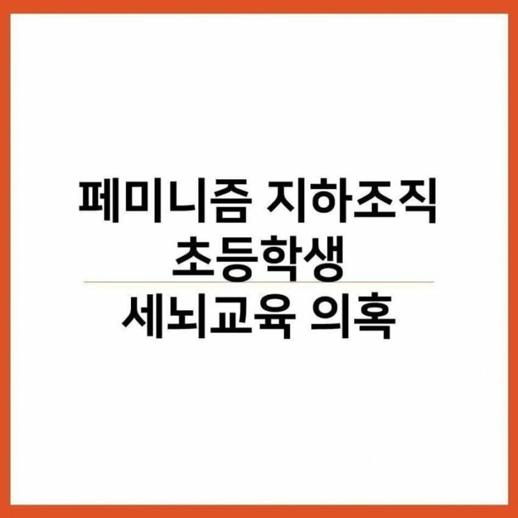  어린이날에 터진 페미니스트 초등학생 세뇌교육 사건 요약