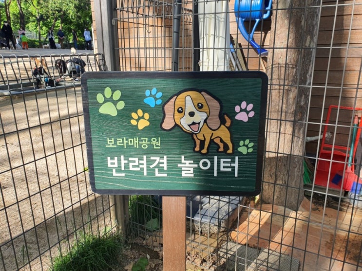  개린이날 보라매공원 반려견 놀이터 고고! 보라매애견동반