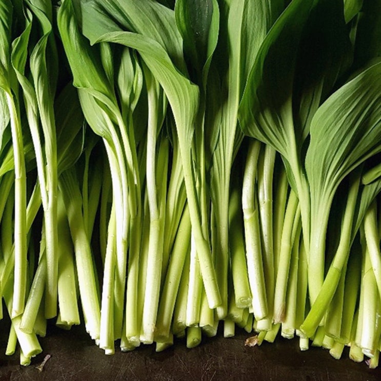 잘나가는 강원도 평창 명이나물 1kg 2kg 4kg 산마늘, 산마늘(명이나물) 1kg_줄기포함 추천해요 잘나가는 강원도 평창 명이나물 1kg 2kg 4kg 산마늘, 산마늘(명이나물) 1kg_줄기포함 추천해요