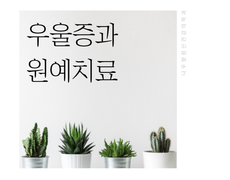  부산 우울증치료에 도움이 되는 원예치료 알아보기