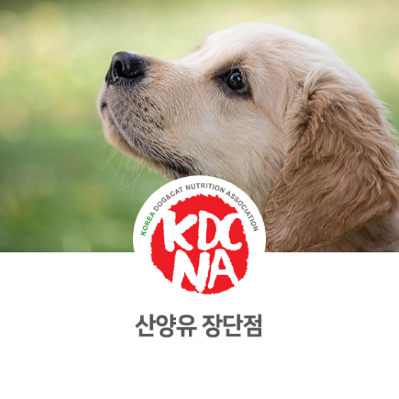  [익산/군산/전주/대전/포항/대구/울산/경주/나의반려/한국반려동물영양협회/펫푸드자격증] 정유경 펫영양사가 알려주는 산양유 장단점_794