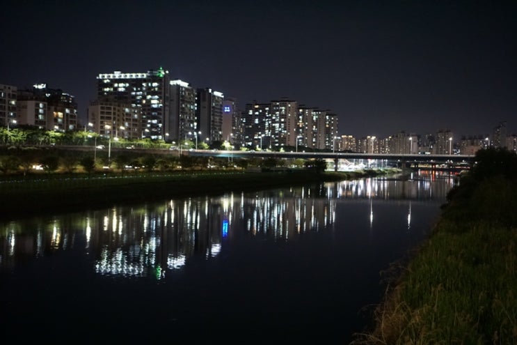  일상) 밤라이딩