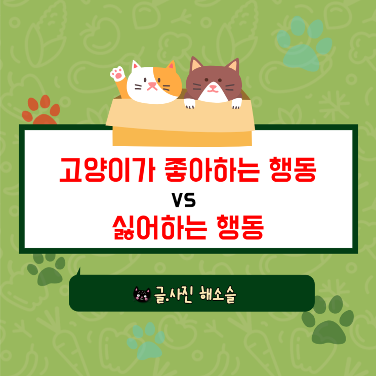 고양이가 좋아하는 행동 vs 싫어하는 행동