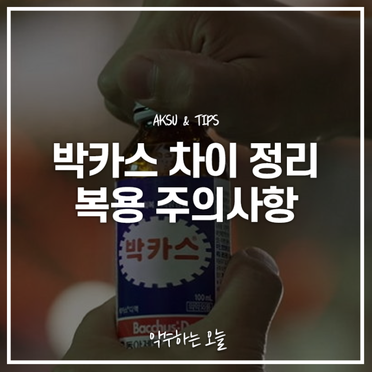  박카스D와 F의 차이는? 박카스 복용시 주의사항까지!
