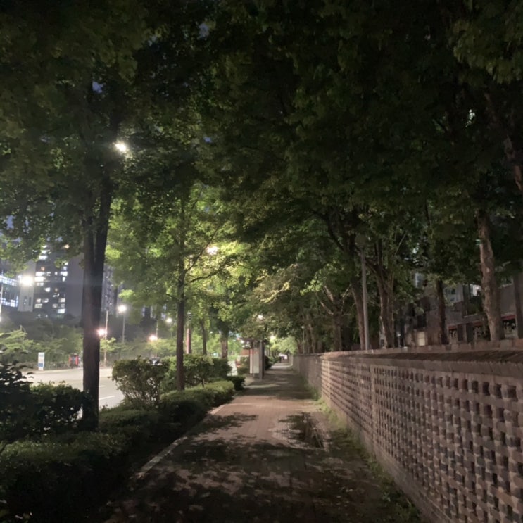  2021.05.05(수) 일기