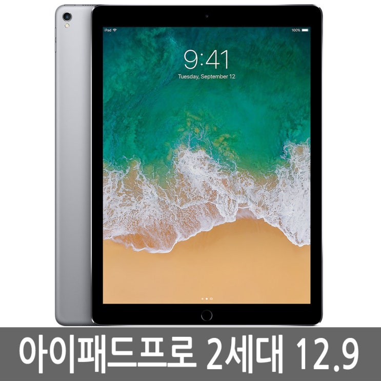 핵가성비 좋은 아이패드 프로 2세대 12.9 64G/256G/512G WiFi/LTE, 아이패드 프로 12.9 2세대 256G B급, WiFi 추천해요