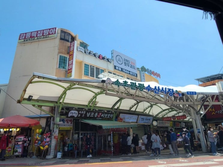  속초중앙시장, <속초관광수산시장>, 닭강정, 술빵, 씨앗호떡 내돈내산 후기