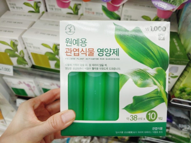  [다이소 식물영양제] 테이블야자 액체영양제